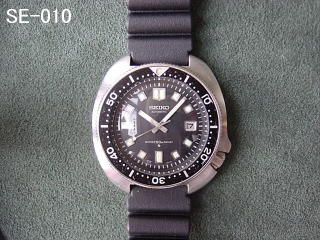 SE-010